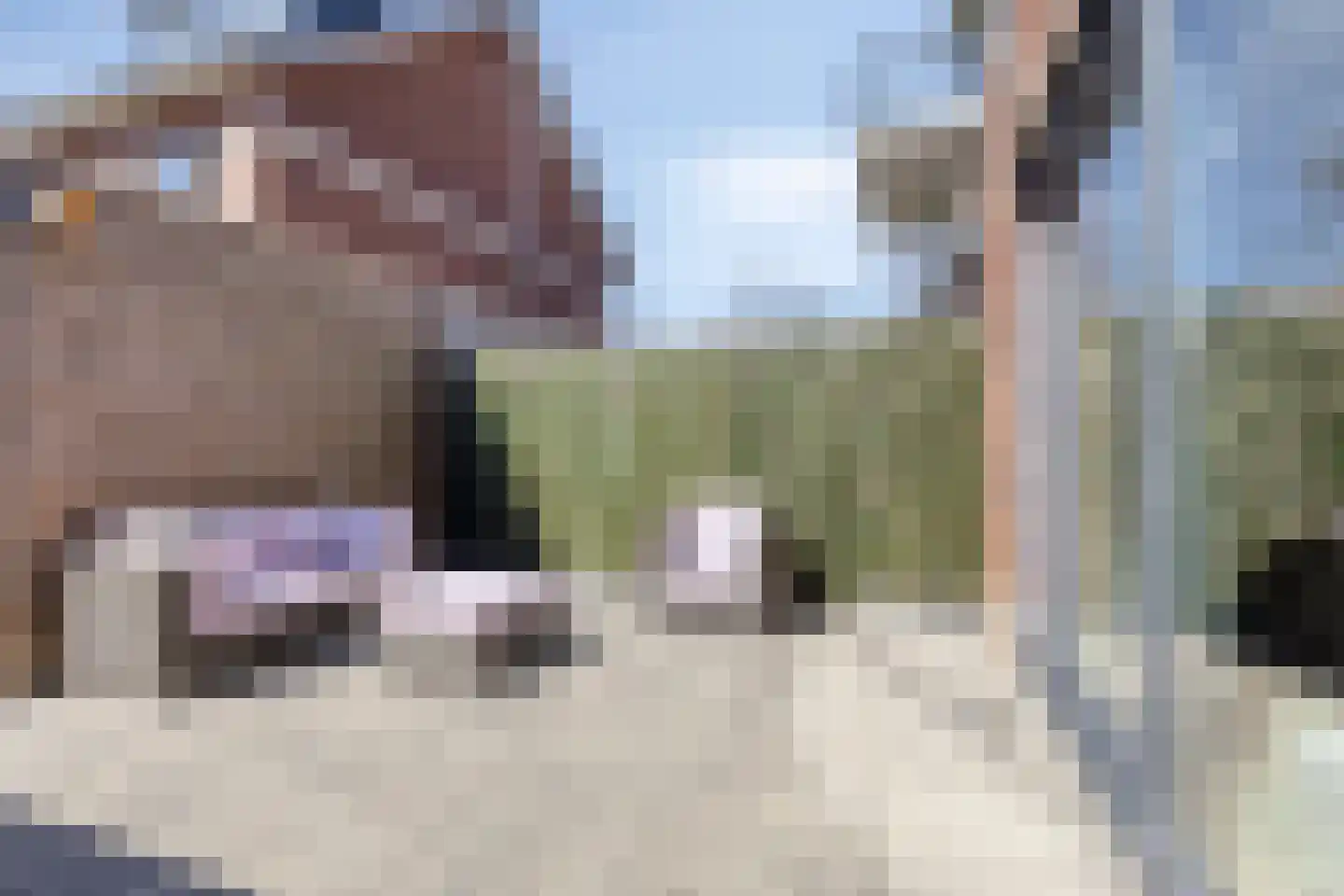 De Weer 39 F Zaandam thumbnail 59