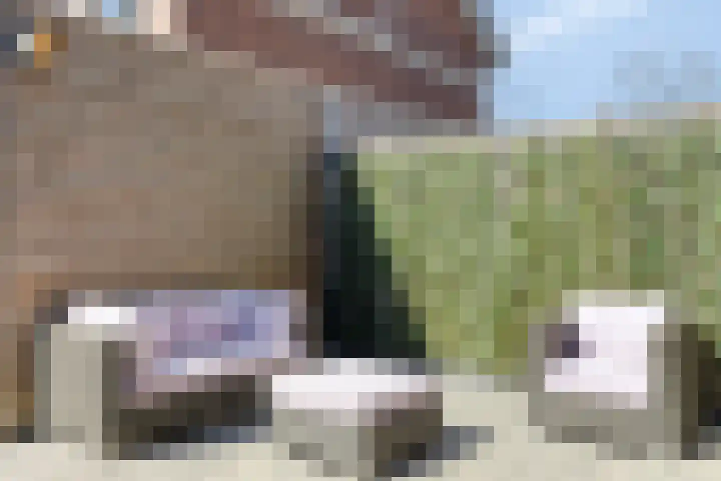 De Weer 39 F Zaandam thumbnail 61