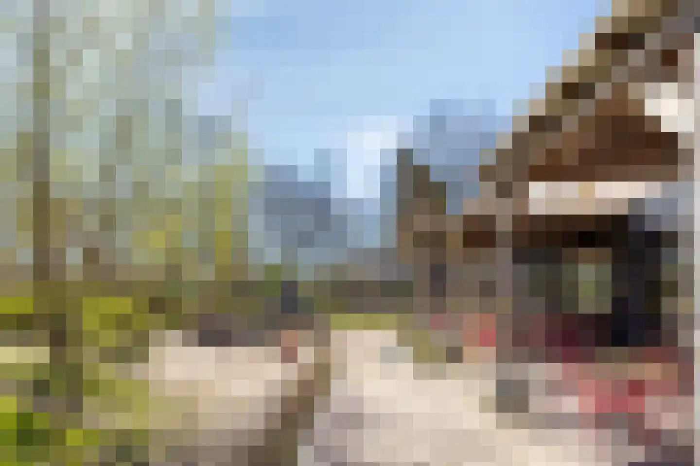 De Weer 39 F Zaandam thumbnail 73