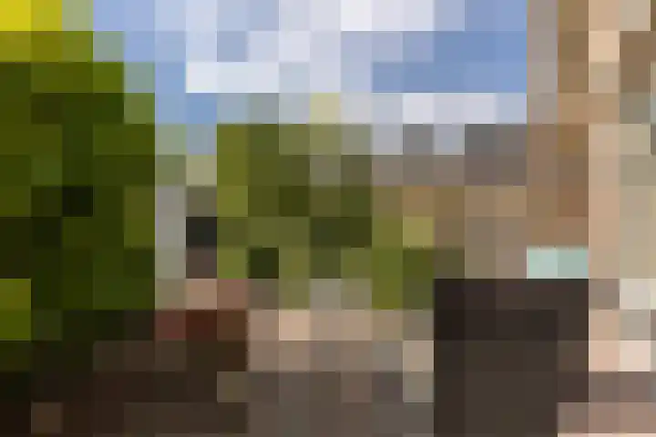 De Weer 4 Zaandam thumbnail 12