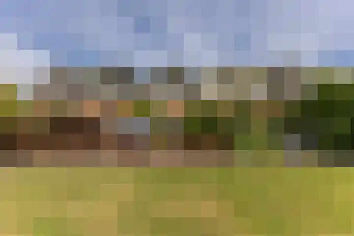 De Weer 4 Zaandam thumbnail 14
