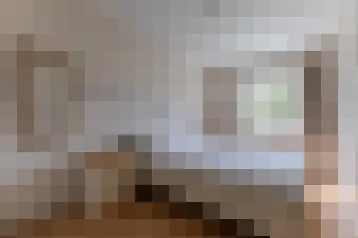 De Weer 4 Zaandam thumbnail 22
