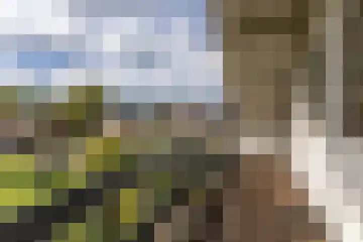 De Weer 4 Zaandam thumbnail 30
