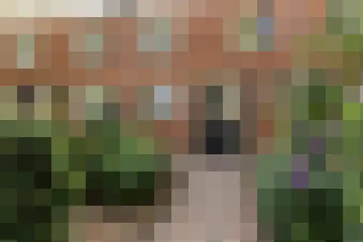 De Weer 4 Zaandam thumbnail 31