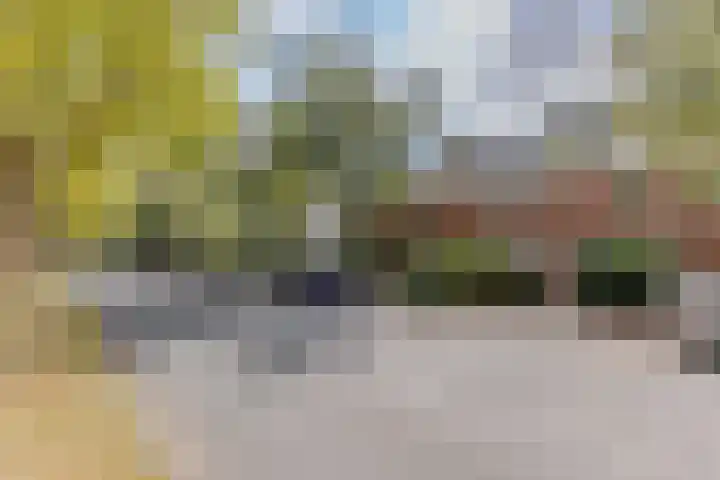 De Weer 4 Zaandam thumbnail 32