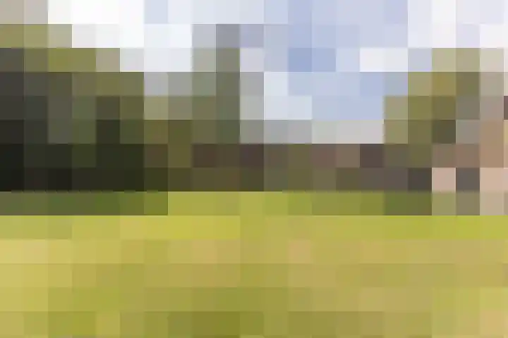 De Weer 4 Zaandam thumbnail 4