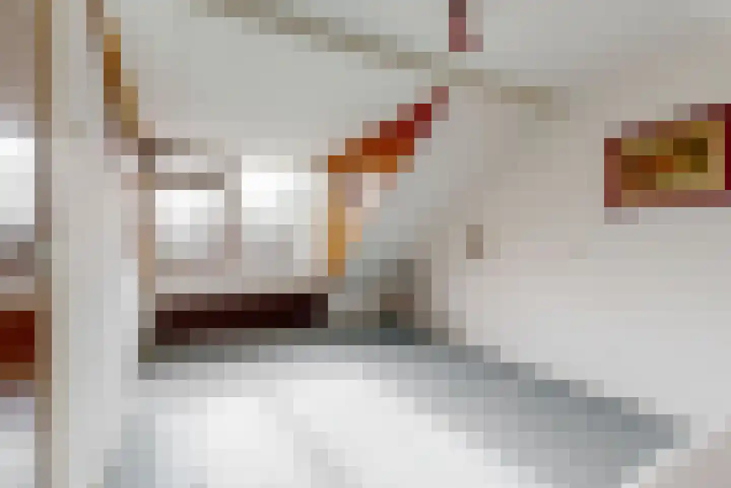 De Weer 40 Zaandam thumbnail 23
