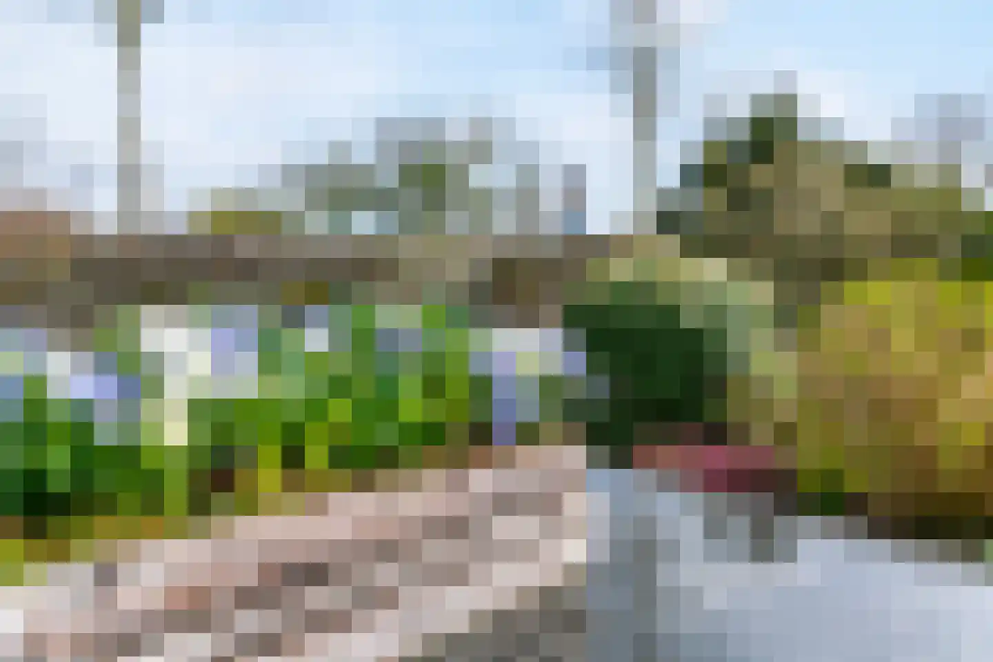 De Weer 40 Zaandam thumbnail 26
