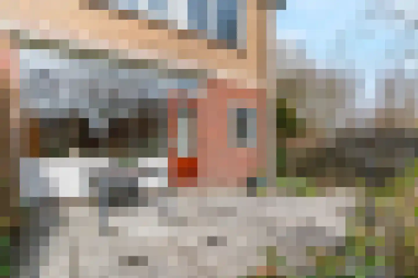 De Weer 40 Zaandam thumbnail 27
