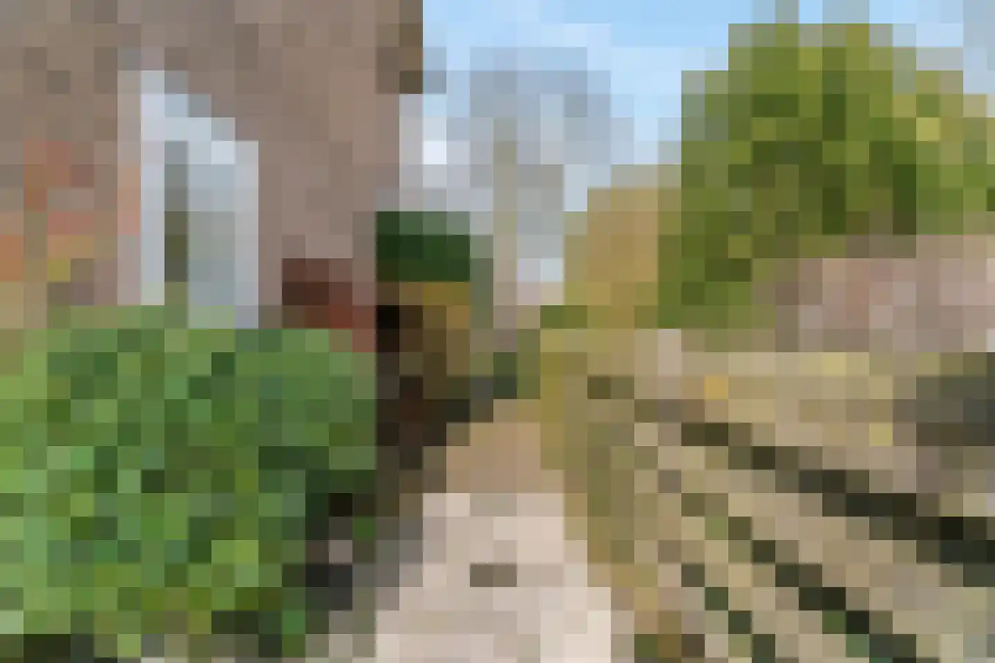 De Weer 40 Zaandam thumbnail 28