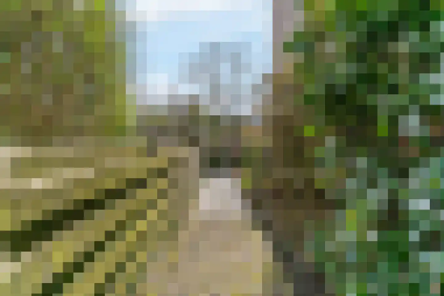 De Weer 40 Zaandam thumbnail 29