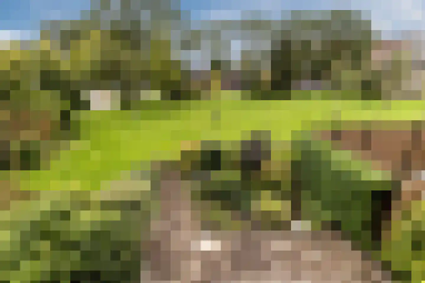 De Weer 41 Zaandam thumbnail 38