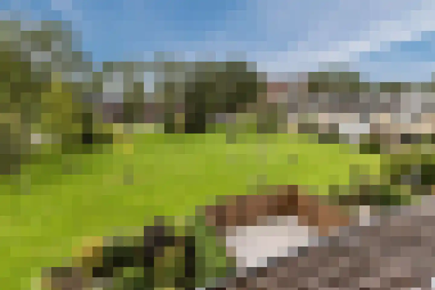 De Weer 41 Zaandam thumbnail 39