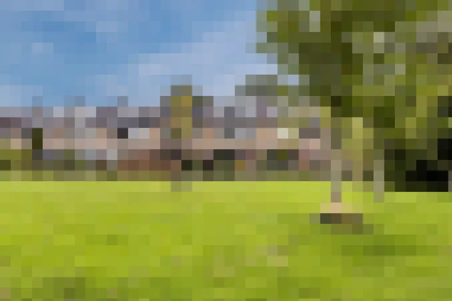 De Weer 41 Zaandam thumbnail 45