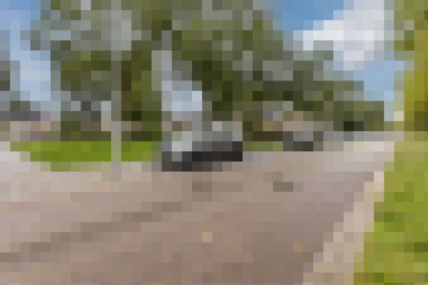 De Weer 41 Zaandam thumbnail 46