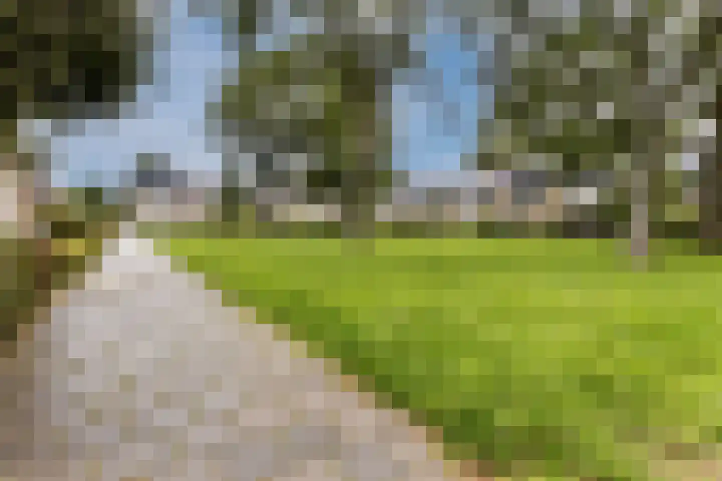 De Weer 41 Zaandam thumbnail 49