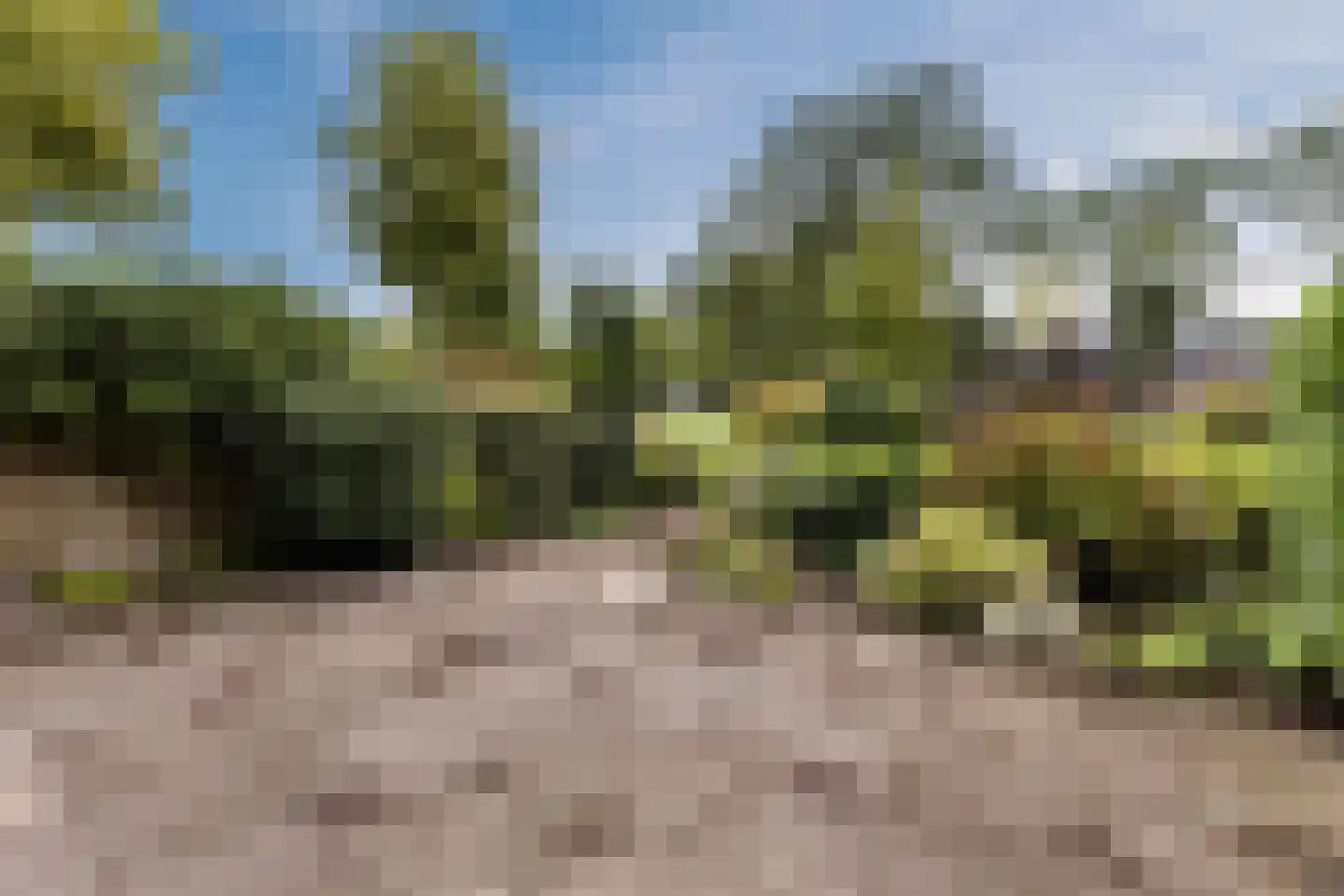 De Weer 41 Zaandam thumbnail 5