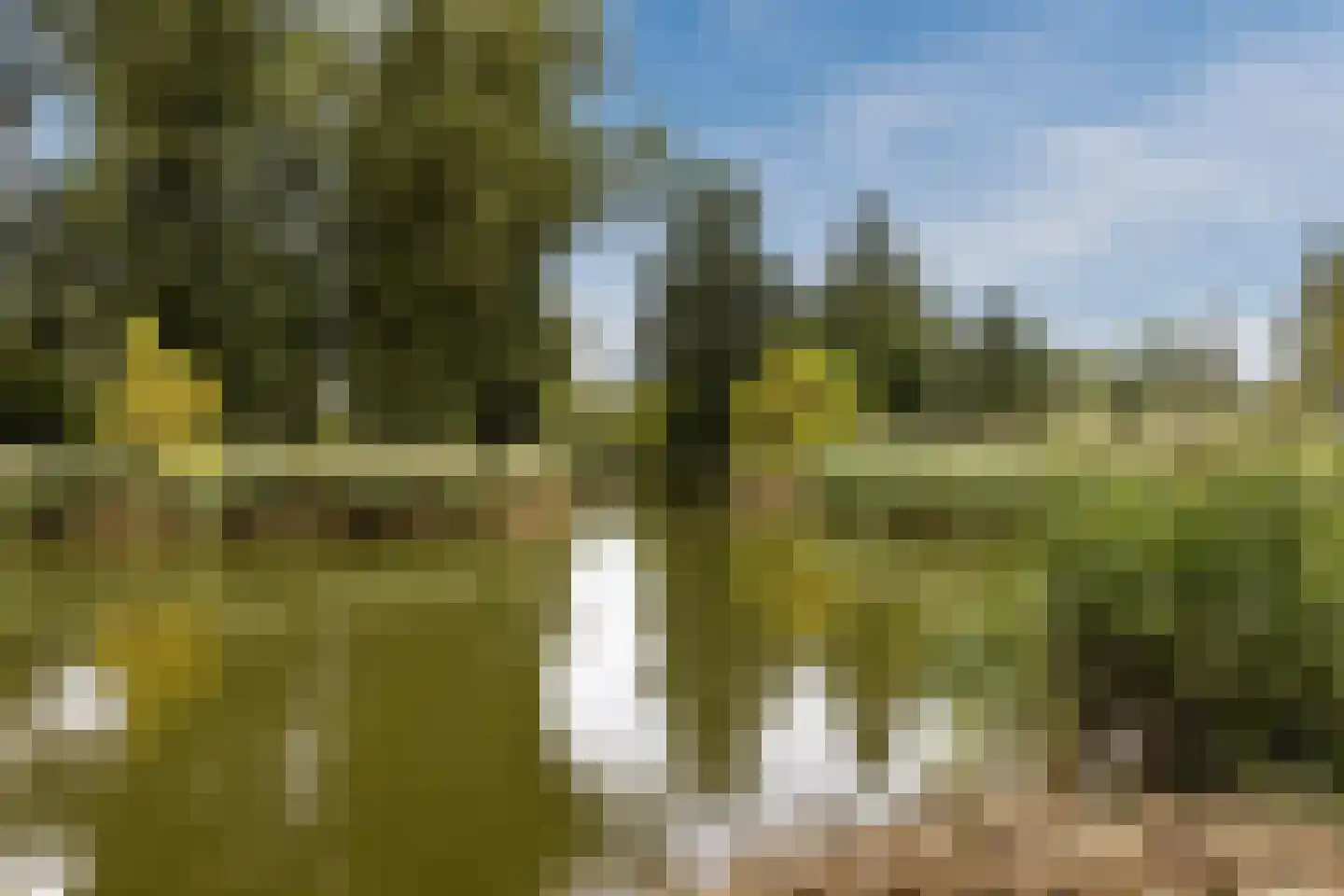 De Weer 41 Zaandam thumbnail 51