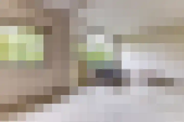 De Weer 42 Zaandam thumbnail 11