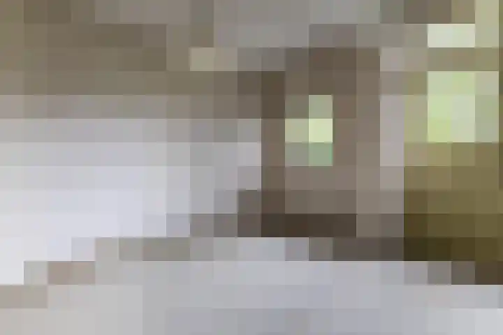 De Weer 42 Zaandam thumbnail 13
