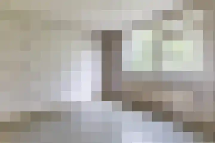 De Weer 42 Zaandam thumbnail 32