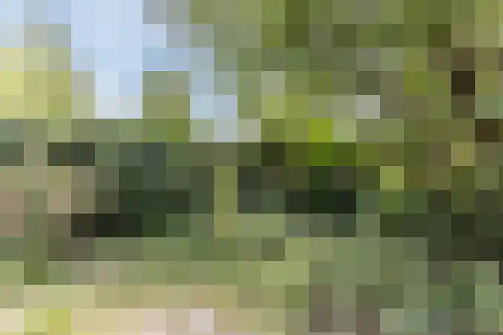 De Weer 42 Zaandam thumbnail 51