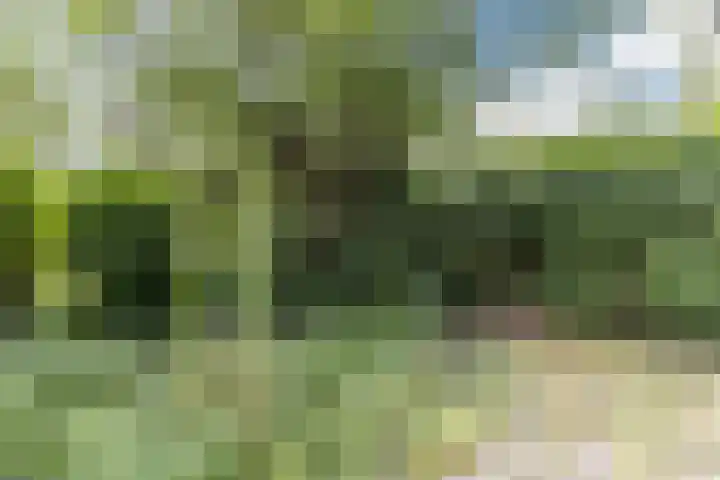 De Weer 42 Zaandam thumbnail 52