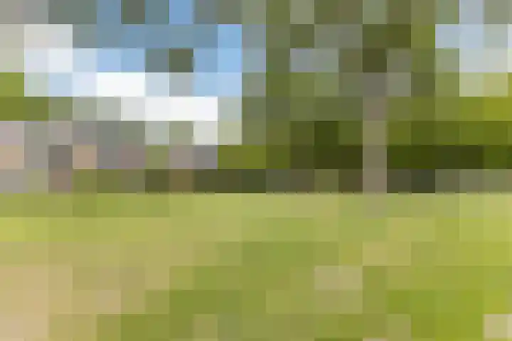 De Weer 42 Zaandam thumbnail 53