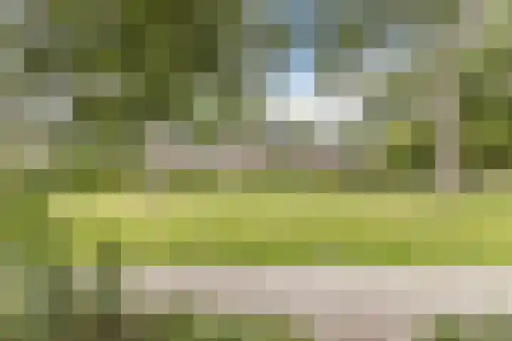 De Weer 42 Zaandam thumbnail 54