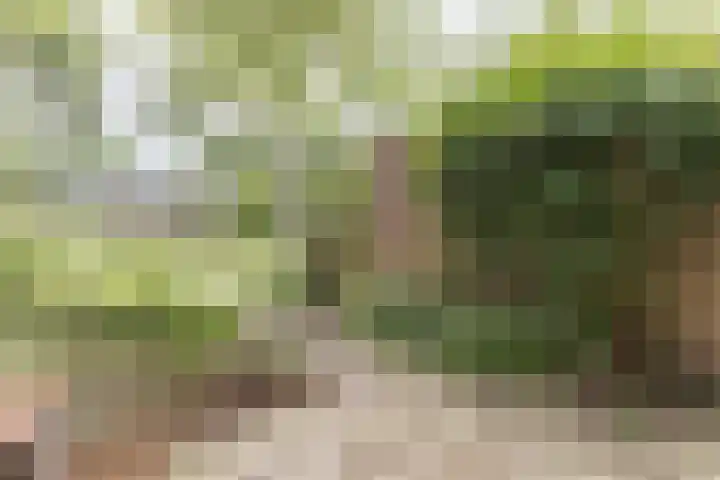 De Weer 42 Zaandam thumbnail 6