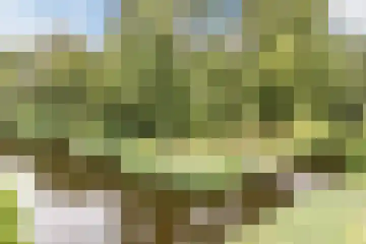 De Weer 42 Zaandam thumbnail 60