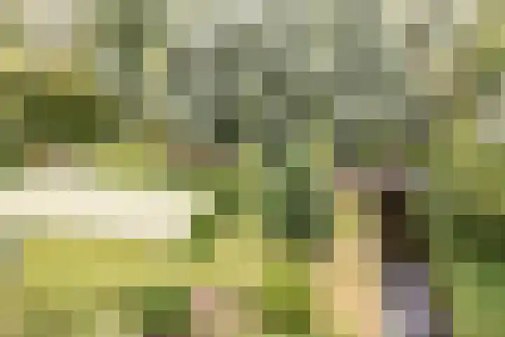 De Weer 42 Zaandam thumbnail 61
