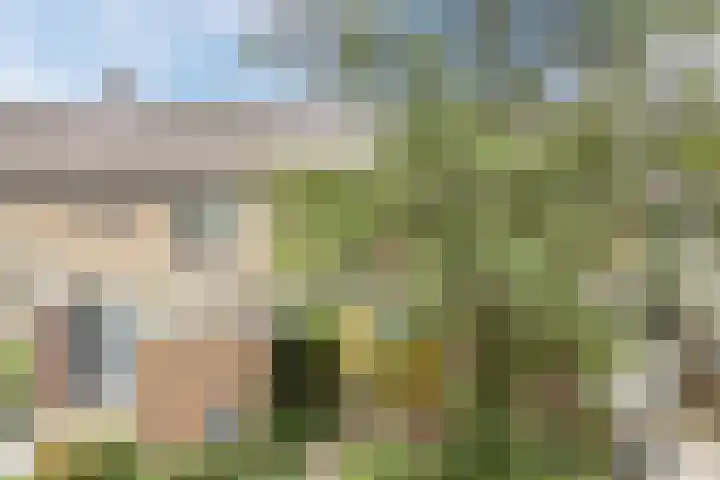 De Weer 42 Zaandam thumbnail 67