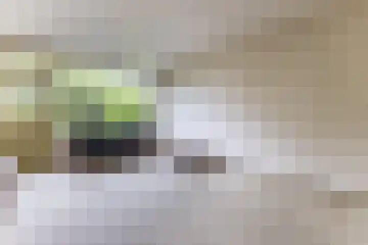 De Weer 42 Zaandam thumbnail 7