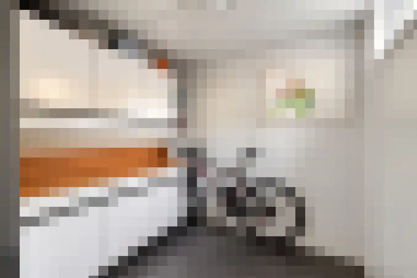 De Weer 45 Zaandam thumbnail 23