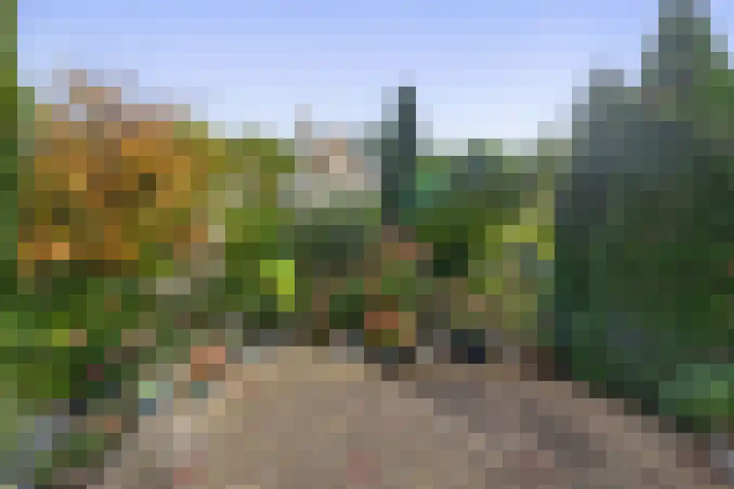 De Weer 45 Zaandam thumbnail 41