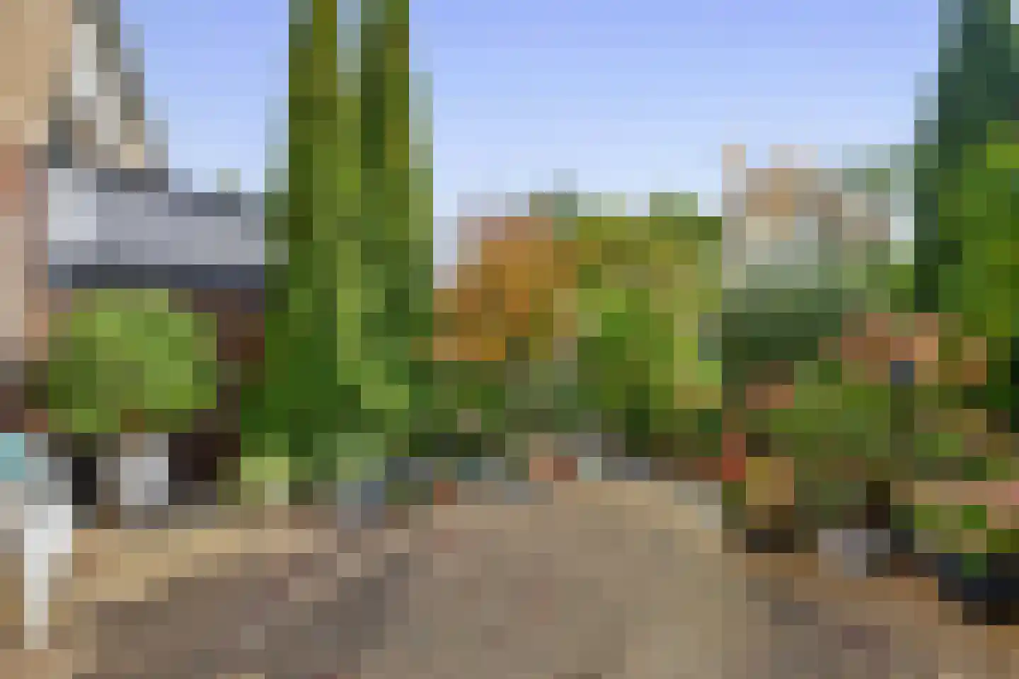 De Weer 45 Zaandam thumbnail 43