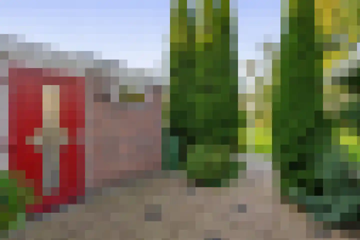 De Weer 45 Zaandam thumbnail 45