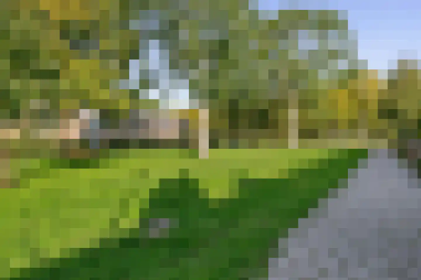 De Weer 45 Zaandam thumbnail 47