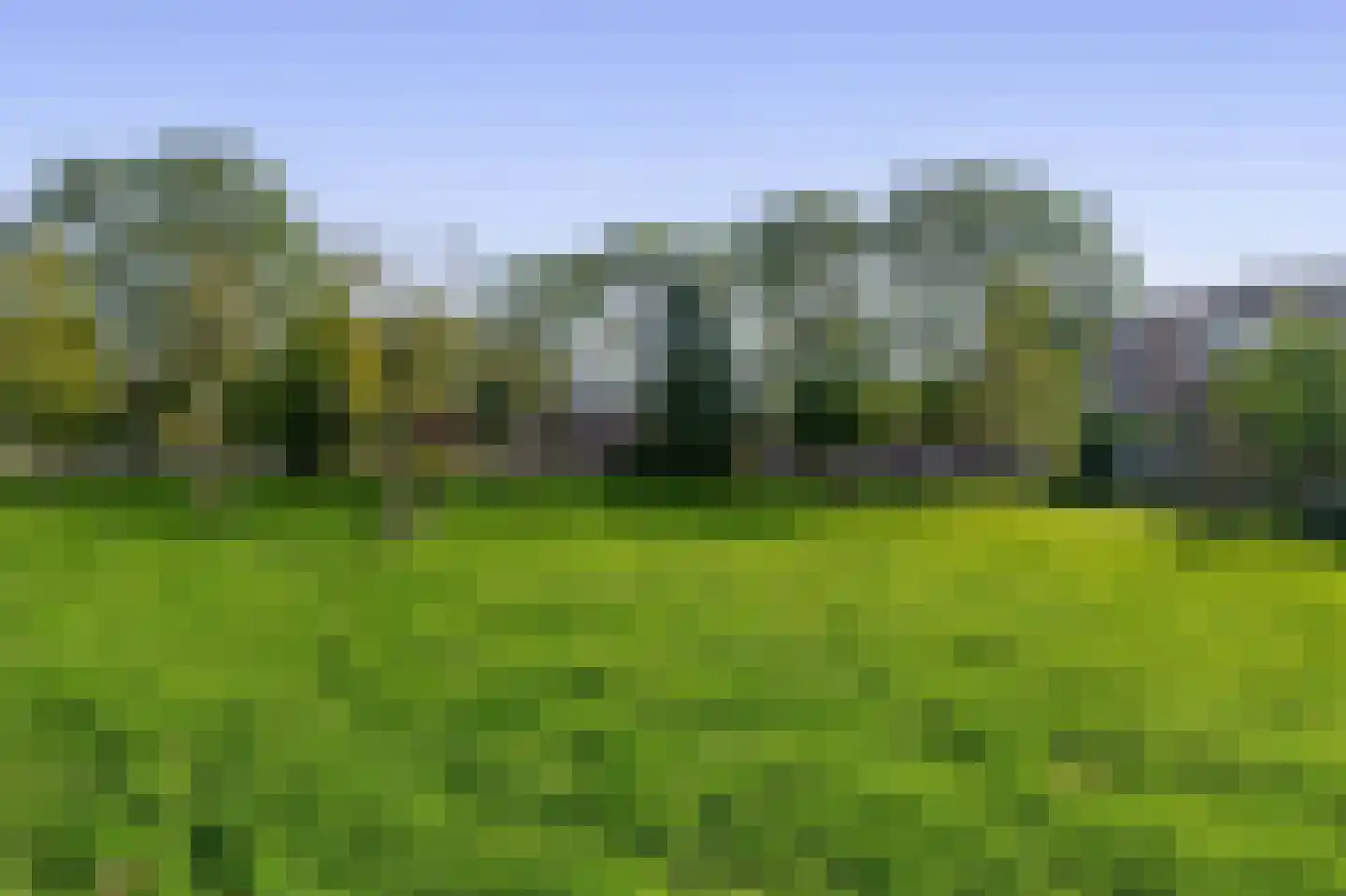 De Weer 45 Zaandam thumbnail 50