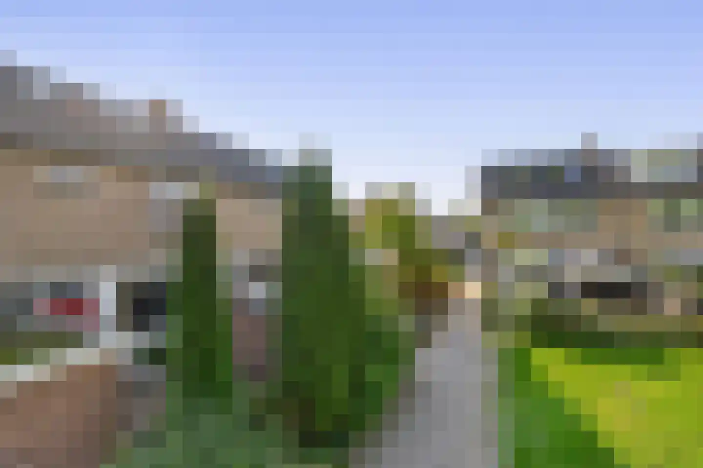 De Weer 45 Zaandam thumbnail 51