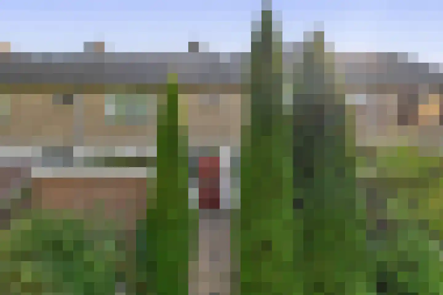 De Weer 45 Zaandam thumbnail 6