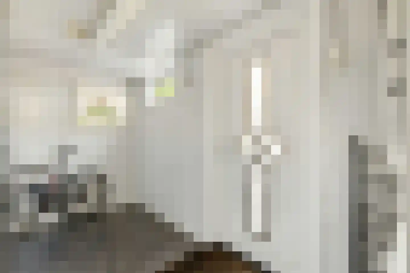 De Weer 45 Zaandam thumbnail 7