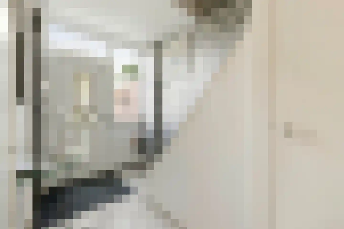 De Weer 45 Zaandam thumbnail 8
