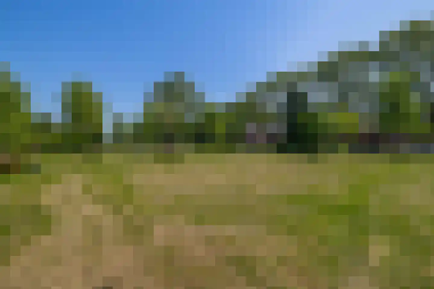 De Weer 46 Zaandam thumbnail 21