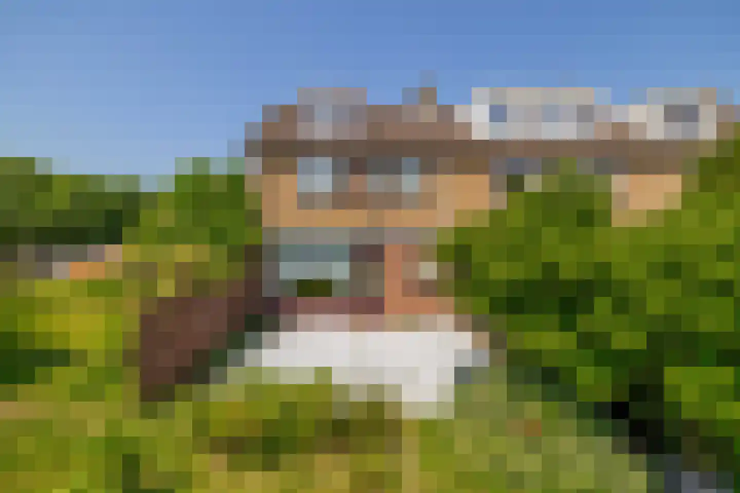 De Weer 46 Zaandam thumbnail 22