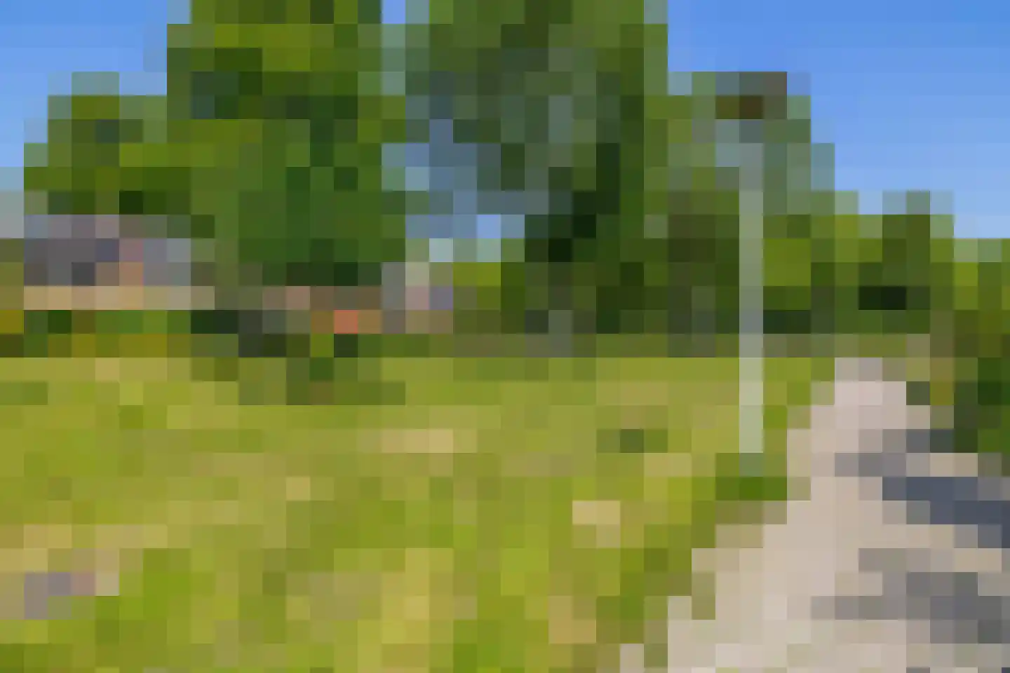 De Weer 46 Zaandam thumbnail 42