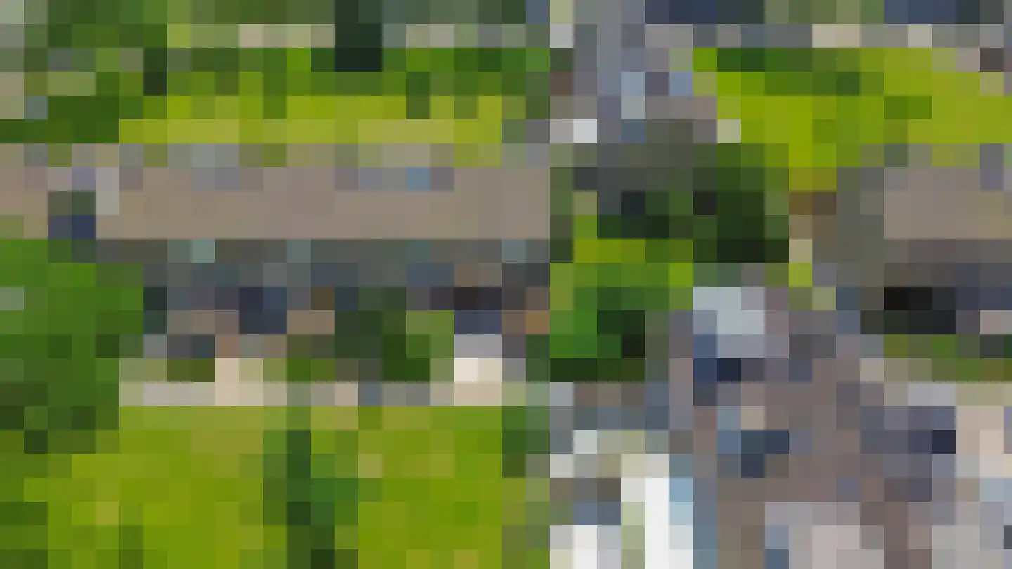 De Weer 46 Zaandam thumbnail 44