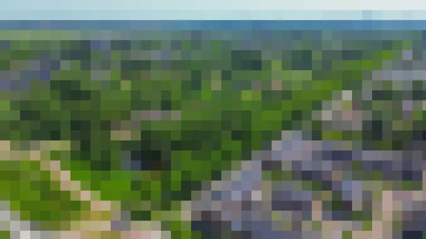 De Weer 46 Zaandam thumbnail 46