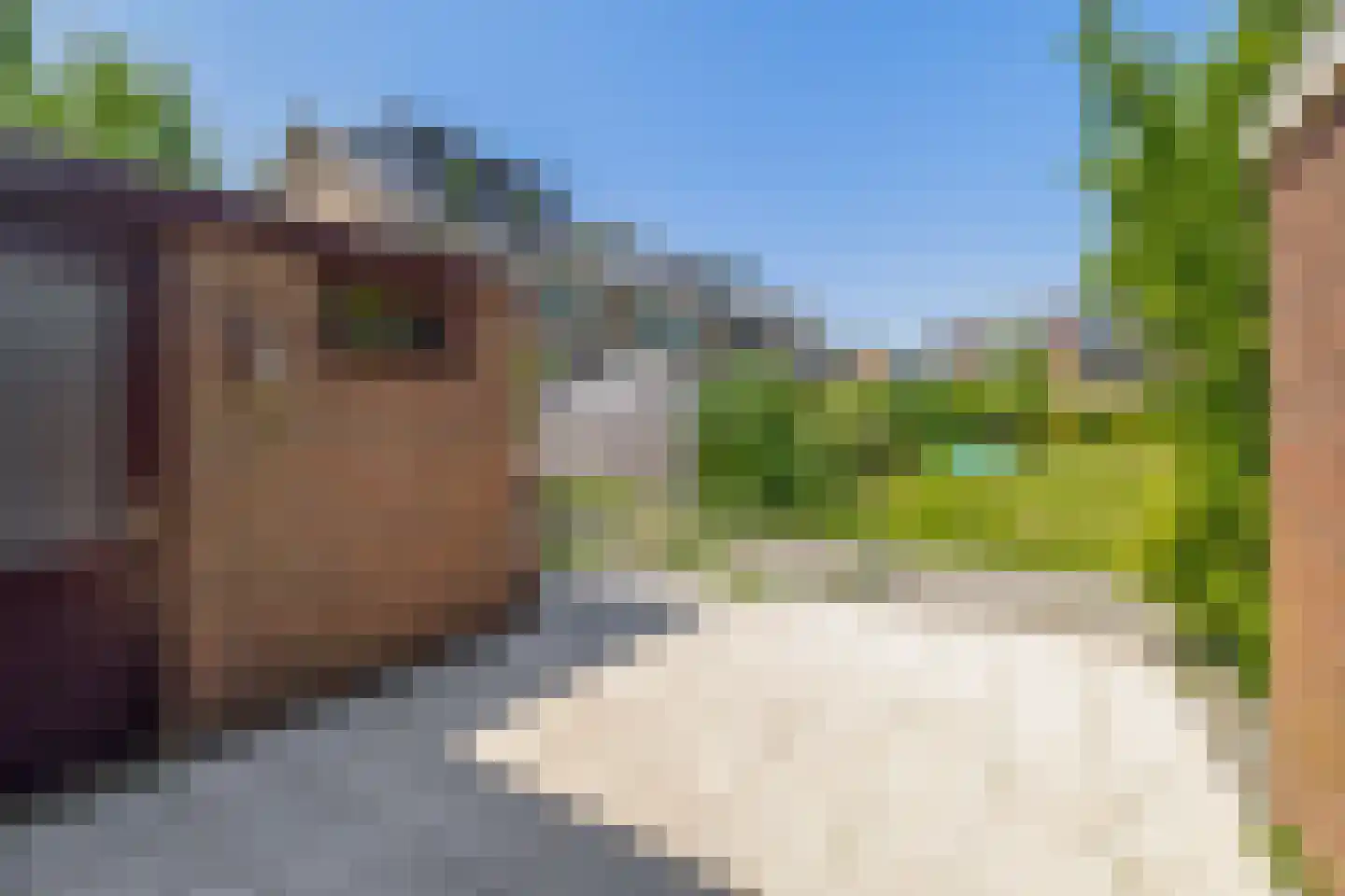 De Weer 46 Zaandam thumbnail 5